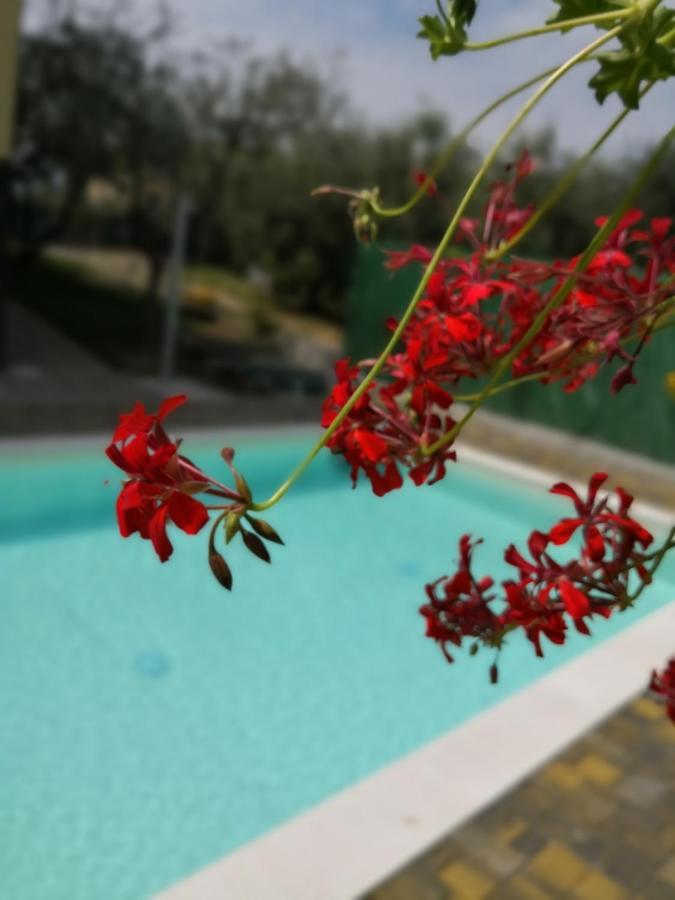 Appartamenti Bellini Бардолино Екстериор снимка