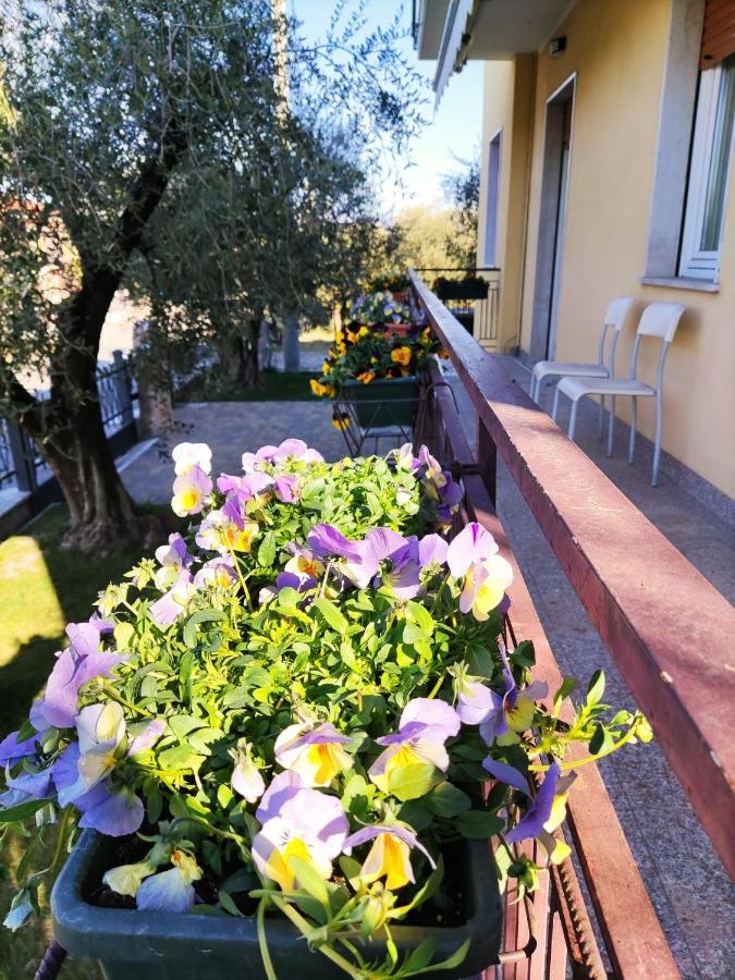 Appartamenti Bellini Бардолино Екстериор снимка