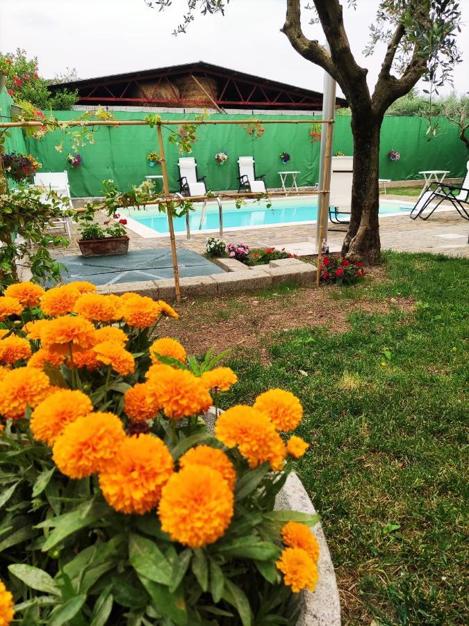 Appartamenti Bellini Бардолино Екстериор снимка